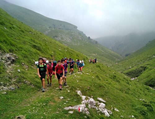 Udako Mendi Zeharkaldiak